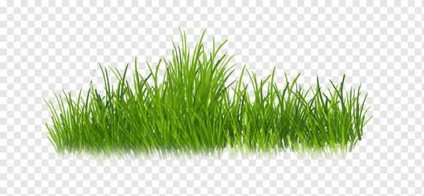 Трава мультяшная