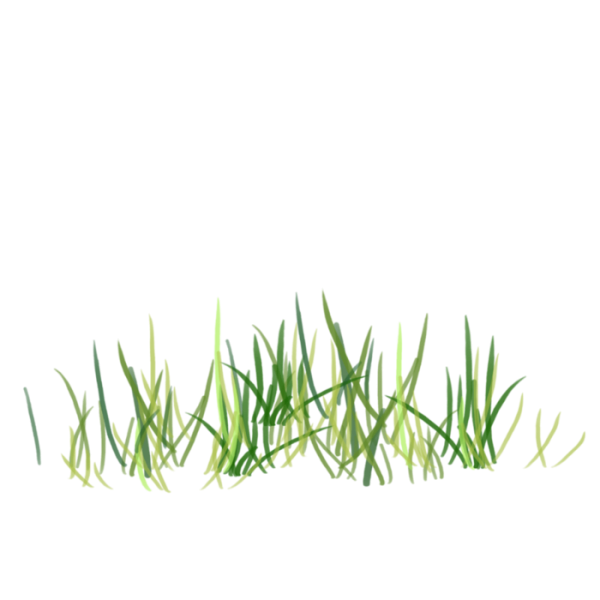 Снег на траве