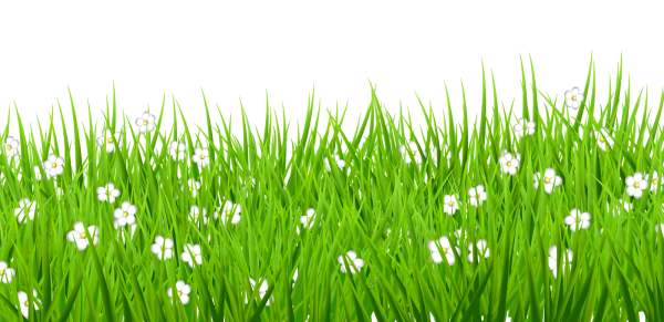 Снег на траве