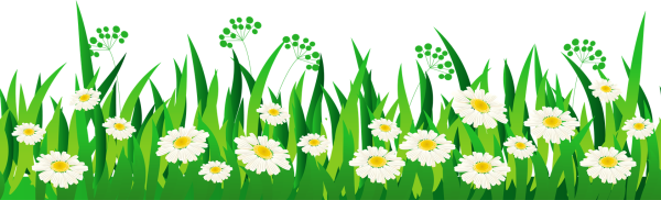 Травка с цветочками