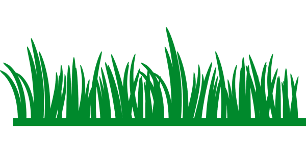 Снег на траве