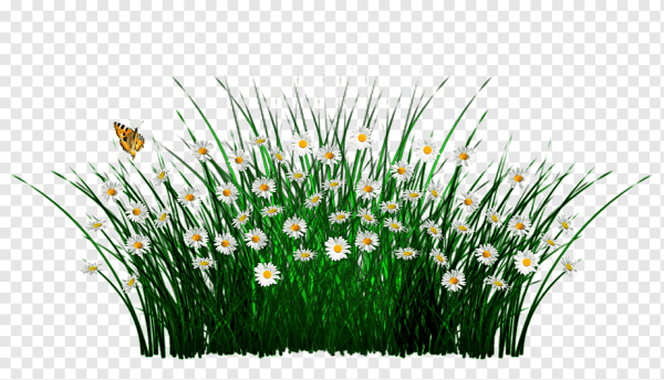 Травка с ромашками