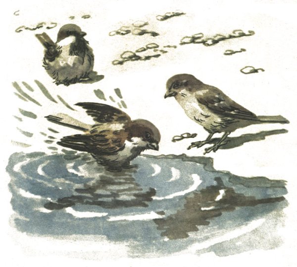 Николай Сладков Весенняя баня