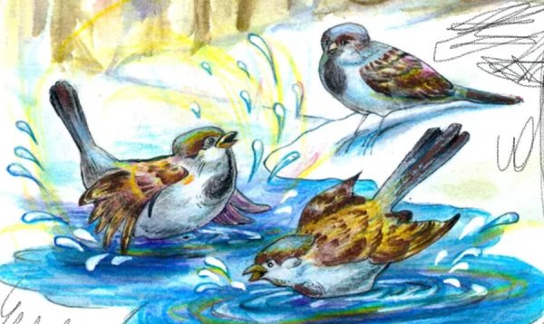 Николай Сладков Весенняя баня