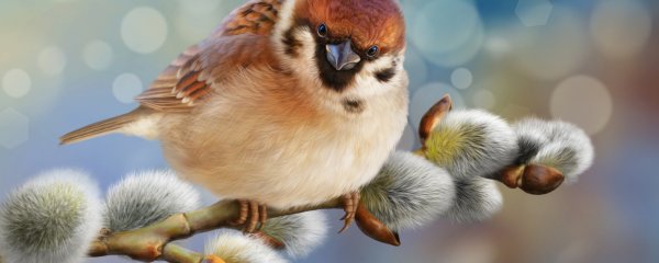 Воробушки весной