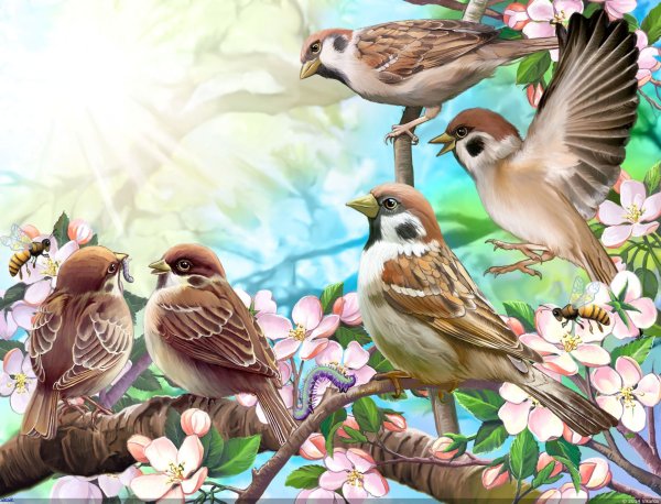 Птички на ветке зимой