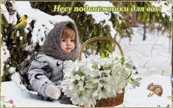 Фотосессия с корзиной цветов зимой
