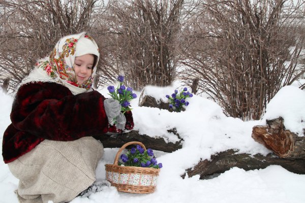 Открытка скворечник