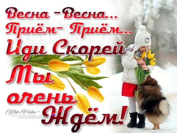 Весенней радости в душе