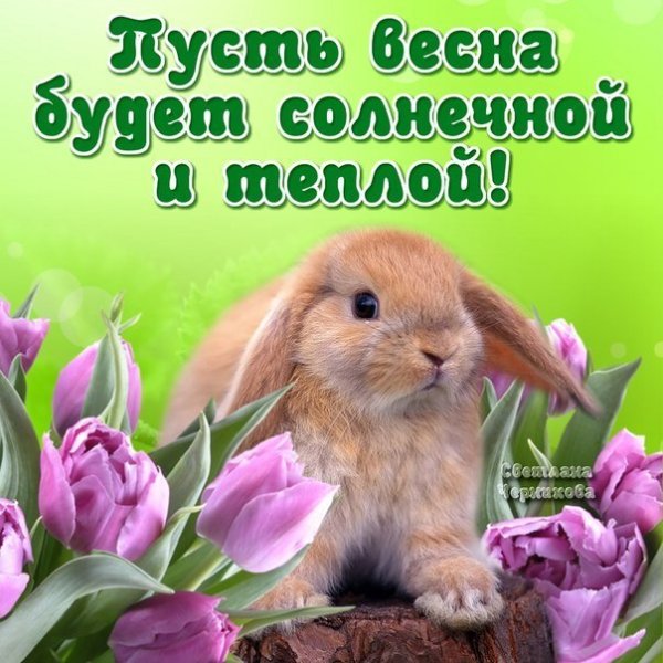 Весна идёт весне дорогу