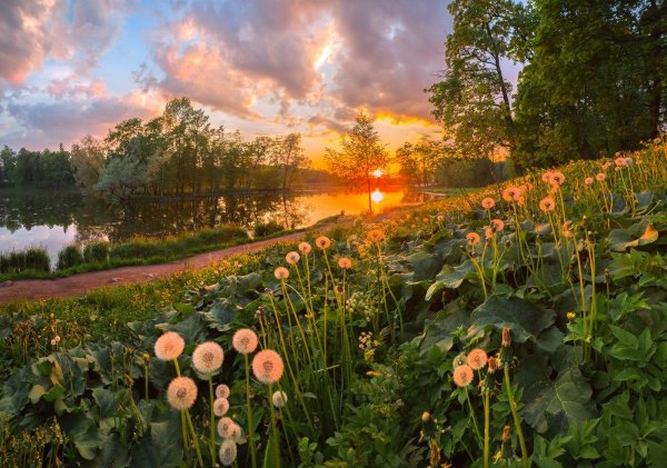 Фотограф Лашков
