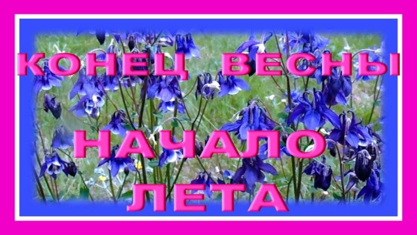 Конец весны начало лета