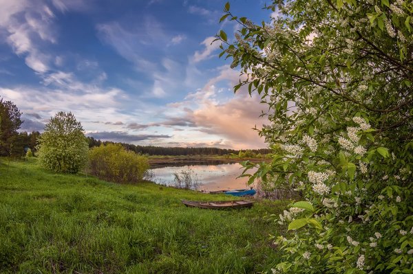 Весна пейзаж