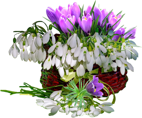 Цветы Ландыши и сирень