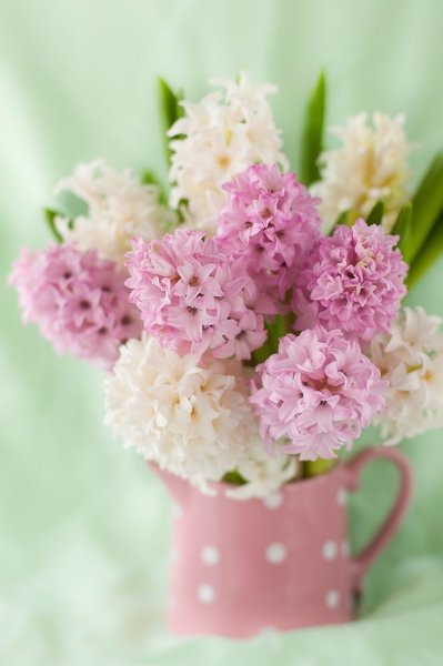 С днём рождения позитивные