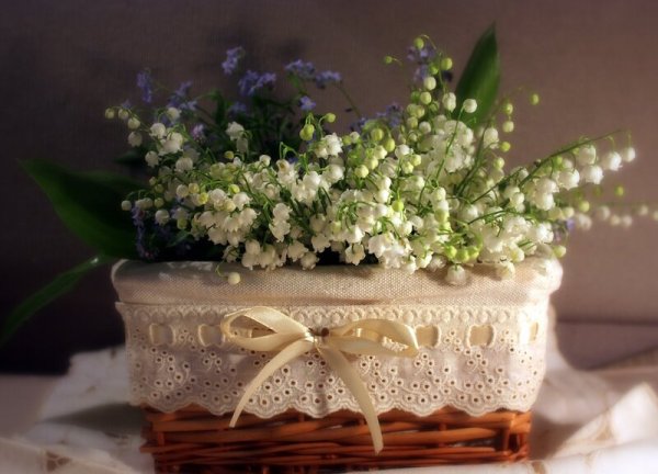 Иллюстрации Мила Маргус