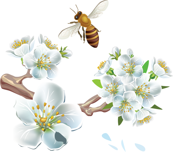 Клипарт Весна на прозрачном фоне