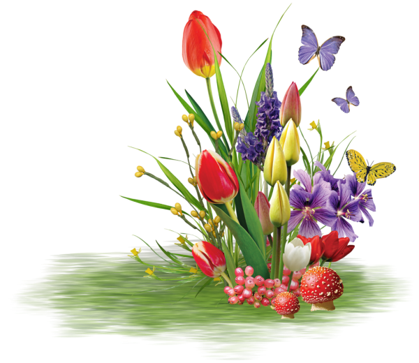 Весенние цветы