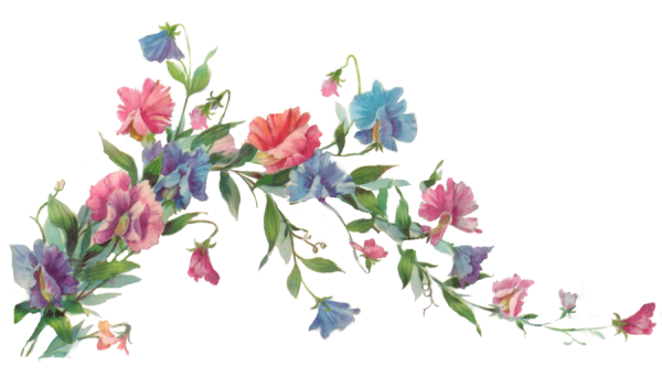 Свисающие цветы рамка