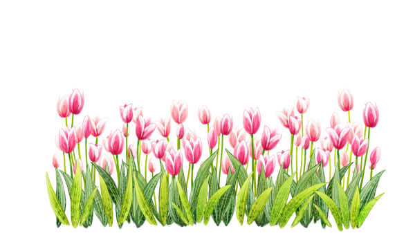 Подснежники на прозрачном фоне