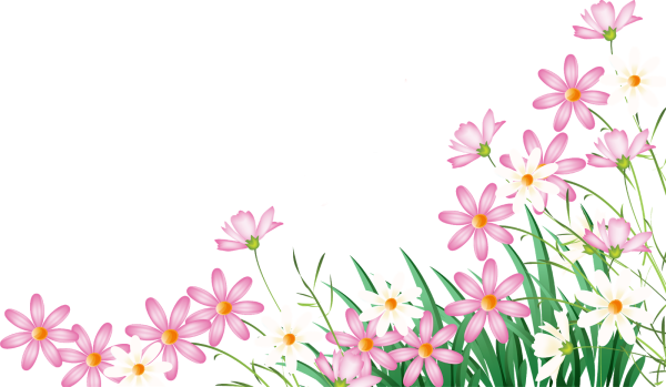 Подснежники на белом фоне