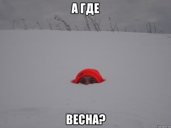 Мемы где Весна