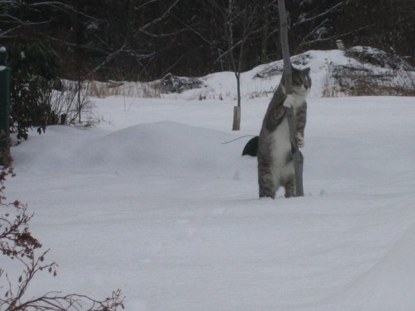 Старость не радость приколы