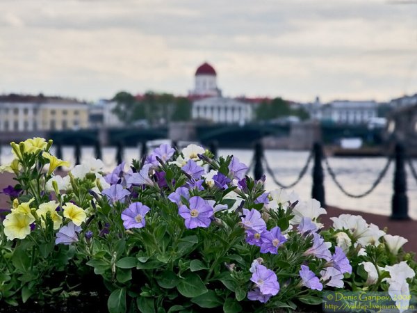 Санкт-Петербург май