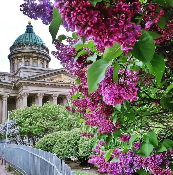 Весна в Петербурге