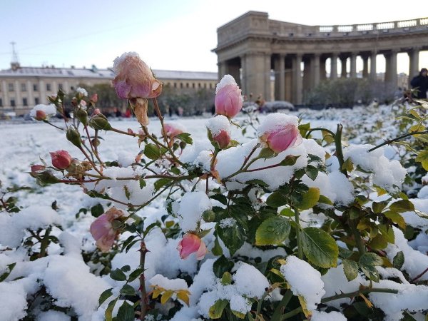 Санкт-Петербург город на Неве