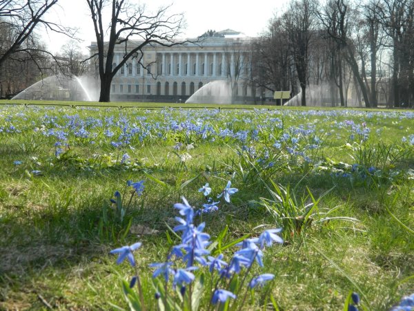 Розы Марсово поле Петербург