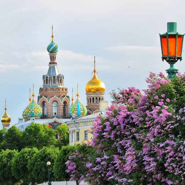 Исаакиевский собор Александровский сад