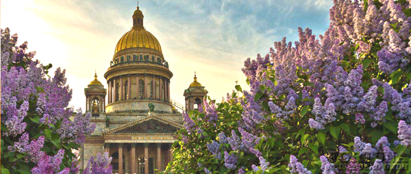 Исаакиевский собор сирень