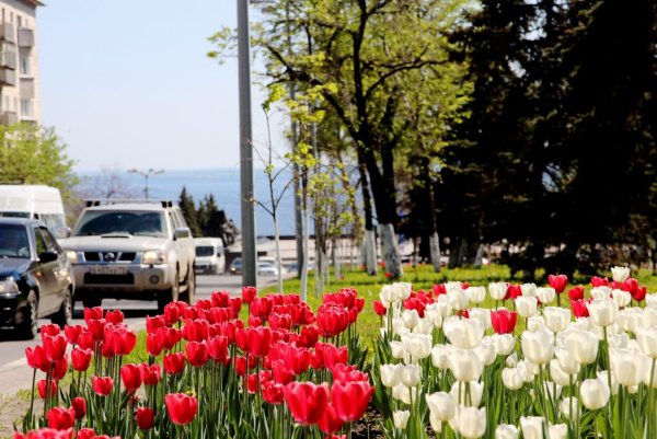 Ульяновск Весна