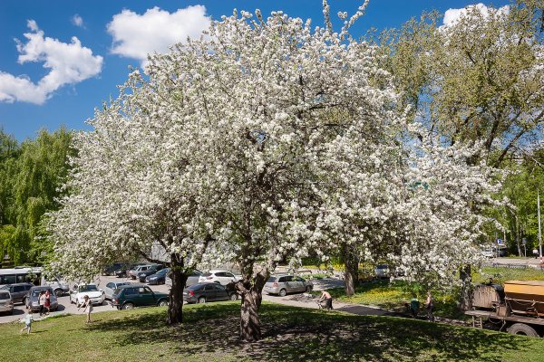 Весенний Ульяновск
