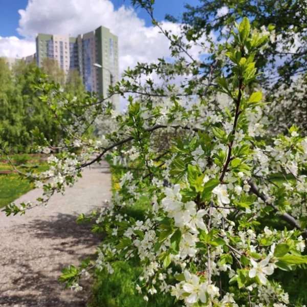 Пейзаж Ульяновской области Весна
