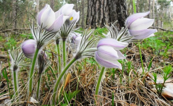 Ульяновск весной