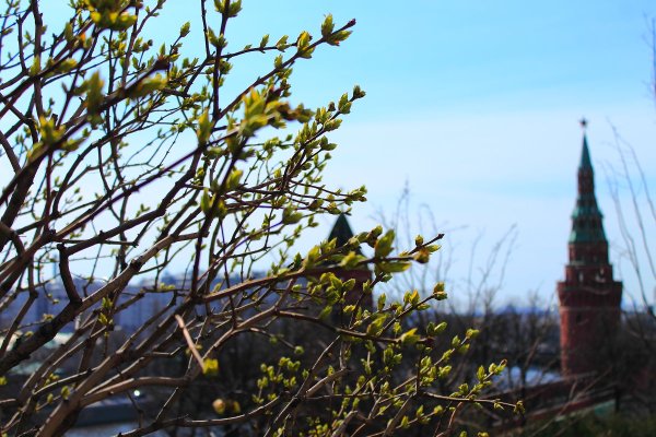 Зимняя Волга Ульяновск