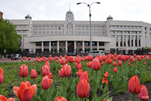 Императорский мост в Ульяновске зимой
