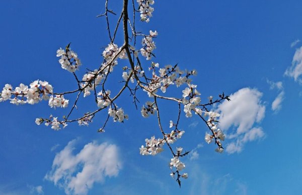 Свияга Ульяновск