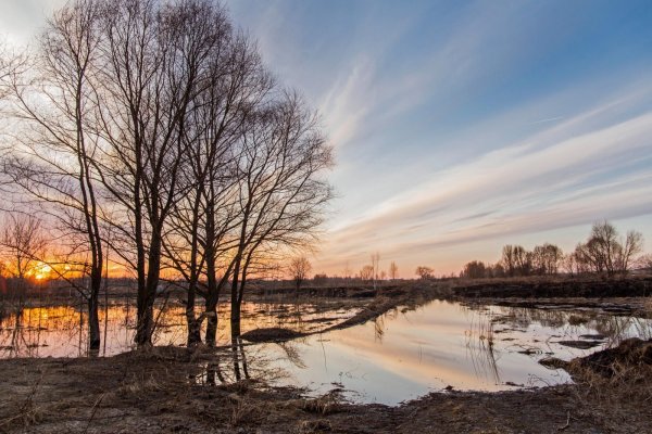 Ярославль набережная Весна