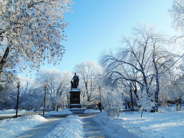 Проспект Ульяновский в городе Ульяновске