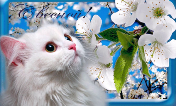 Поздравление с весной