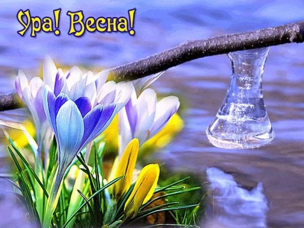 С днем весны