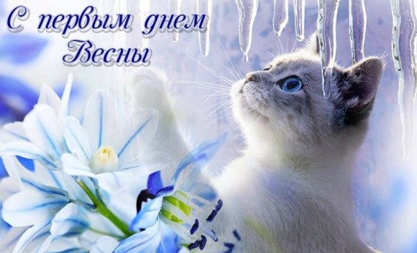 Открытки с первым днем весны