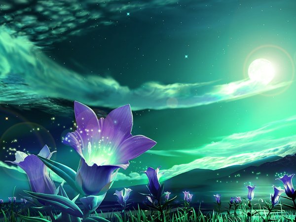 Спокойной весенней ночи