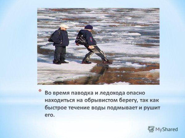 Поведение вблизи водоемов в весенний период