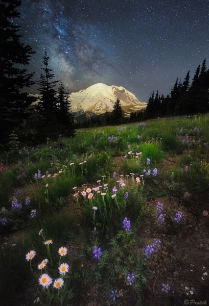 Доброй весенней ночи девчонки