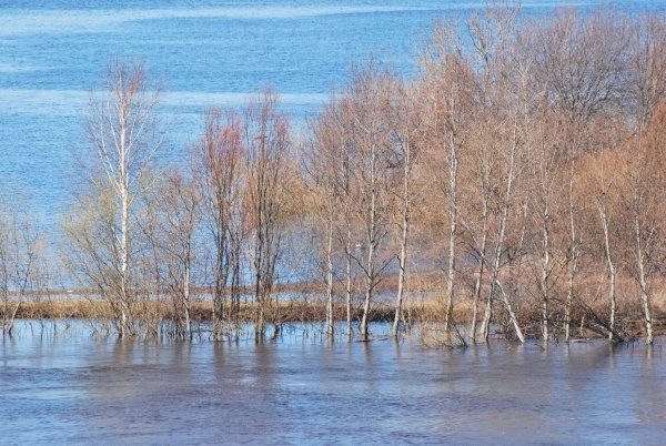 Весна разлив воды