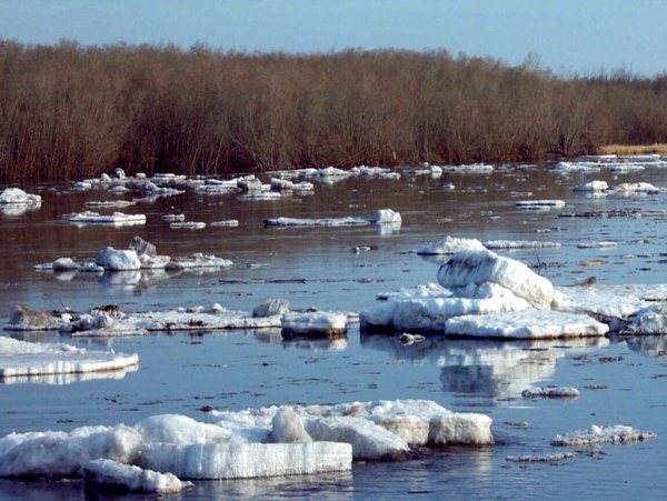 Ледоход на речке